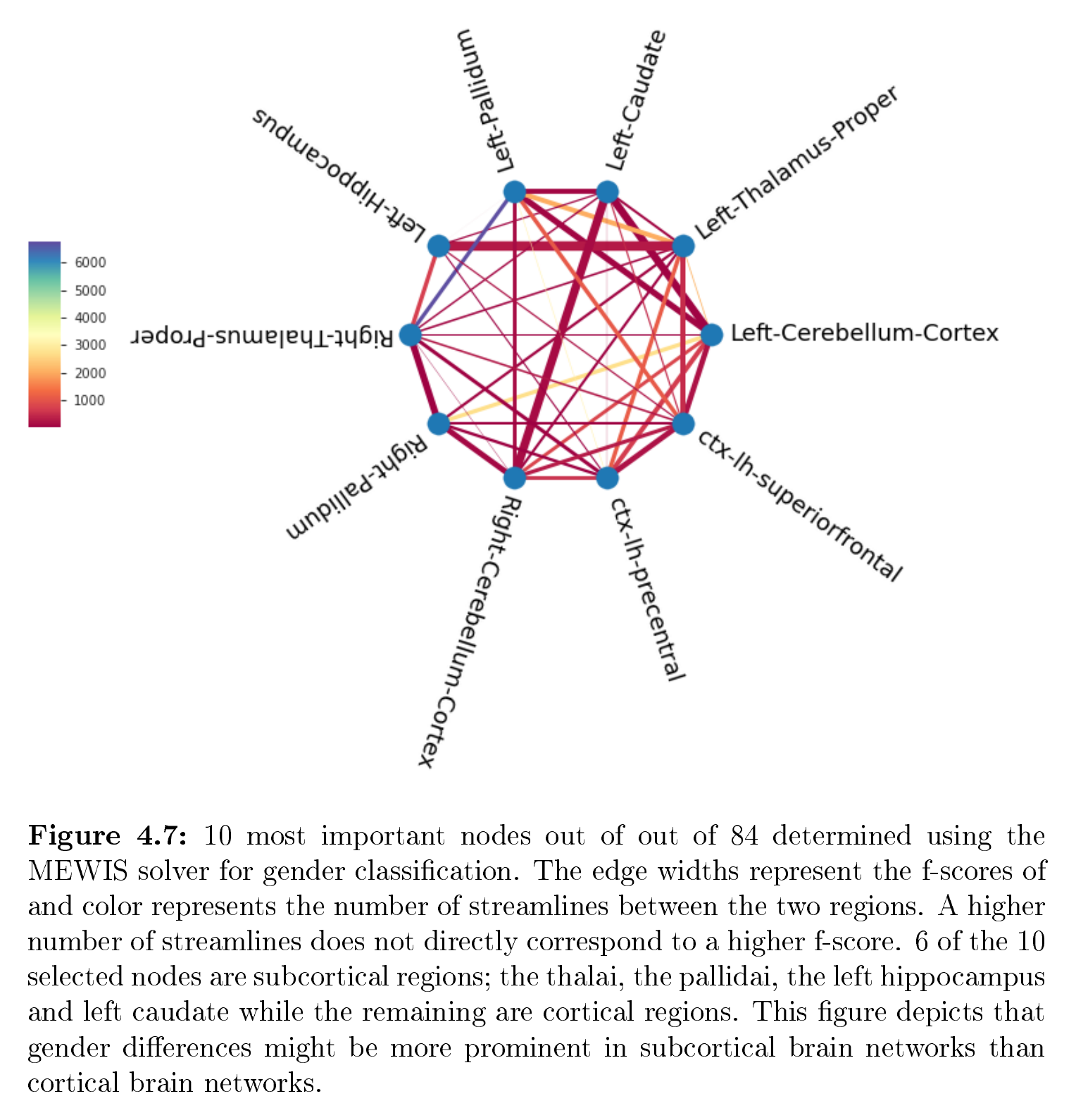 The 10-node subgraph selected by the MEWIS solver for gender classification, dominated by subcortical structures