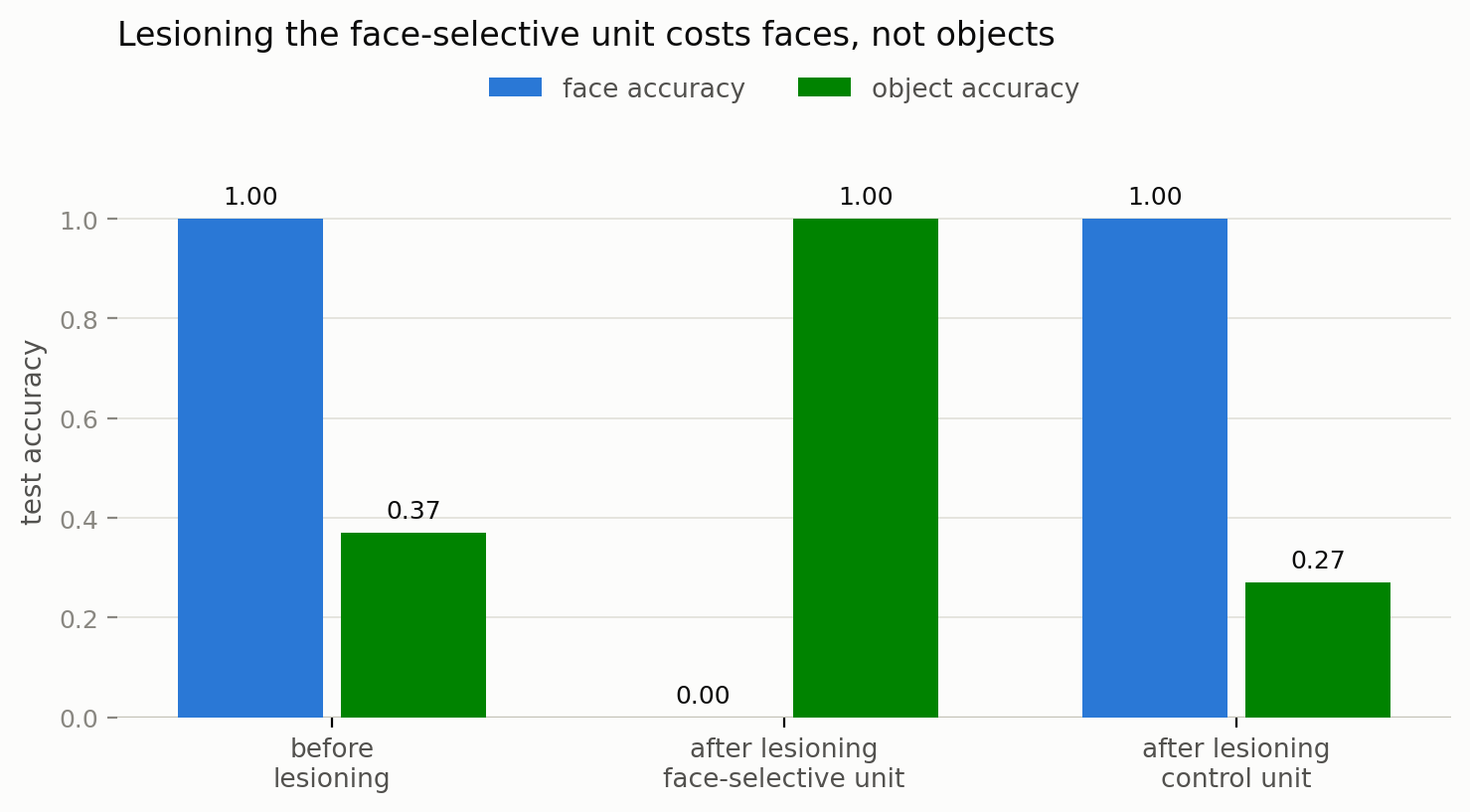 Accuracy on faces and objects before lesioning, after lesioning the face-selective unit, and after lesioning the control unit
